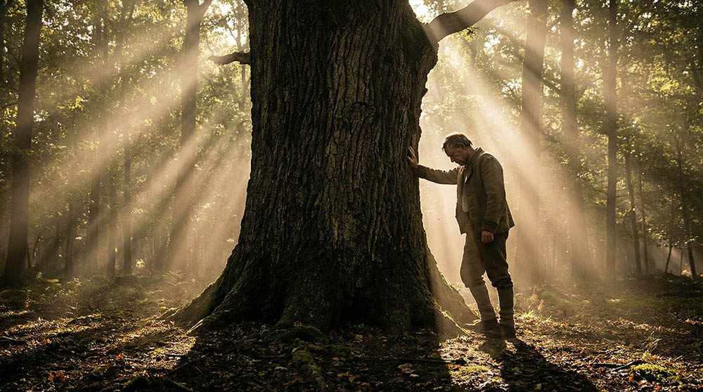 Fällung der Eiche für Stealth Chess mit Verantwortung